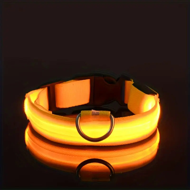 LED Dog Collar