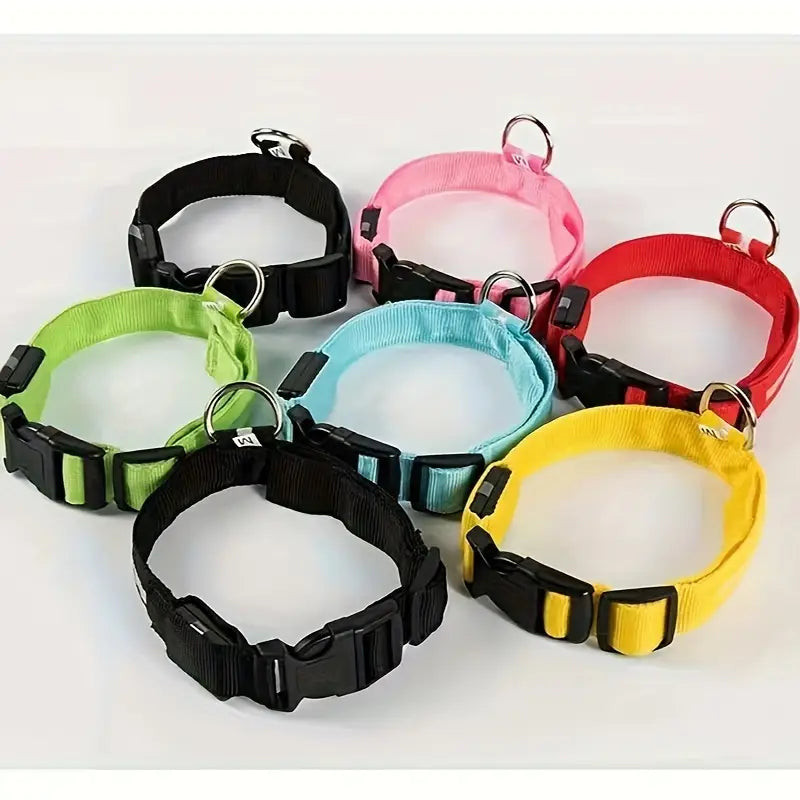 LED Dog Collar