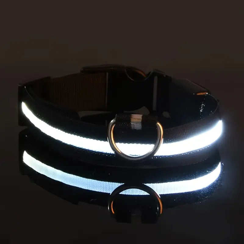 LED Dog Collar