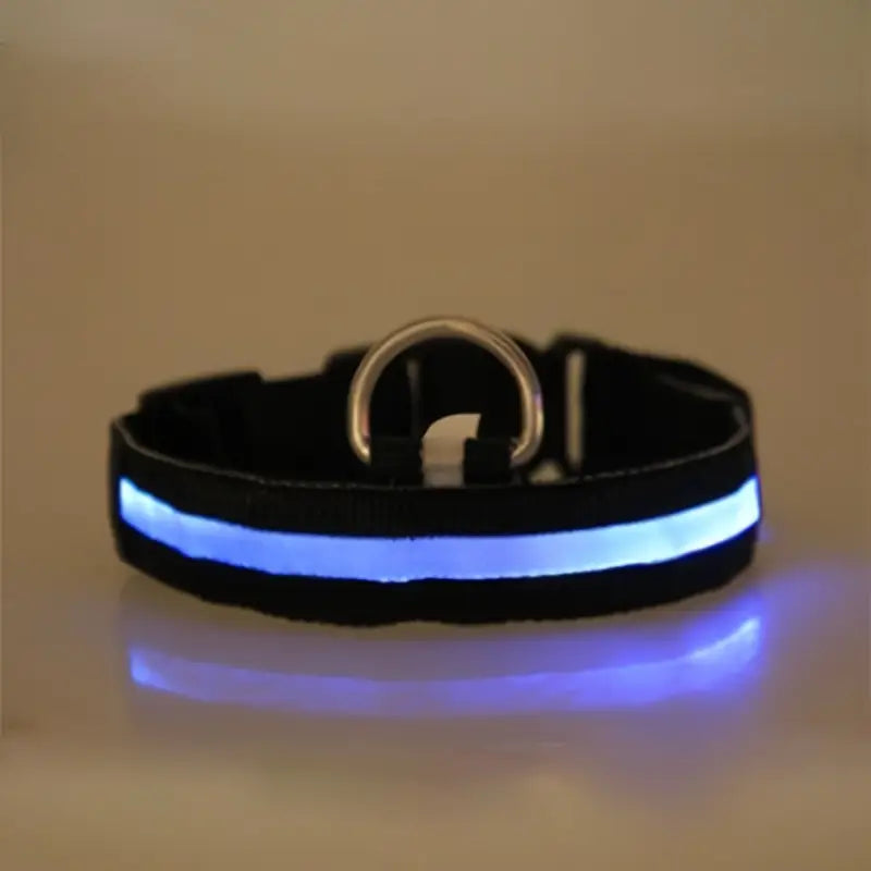 LED Dog Collar