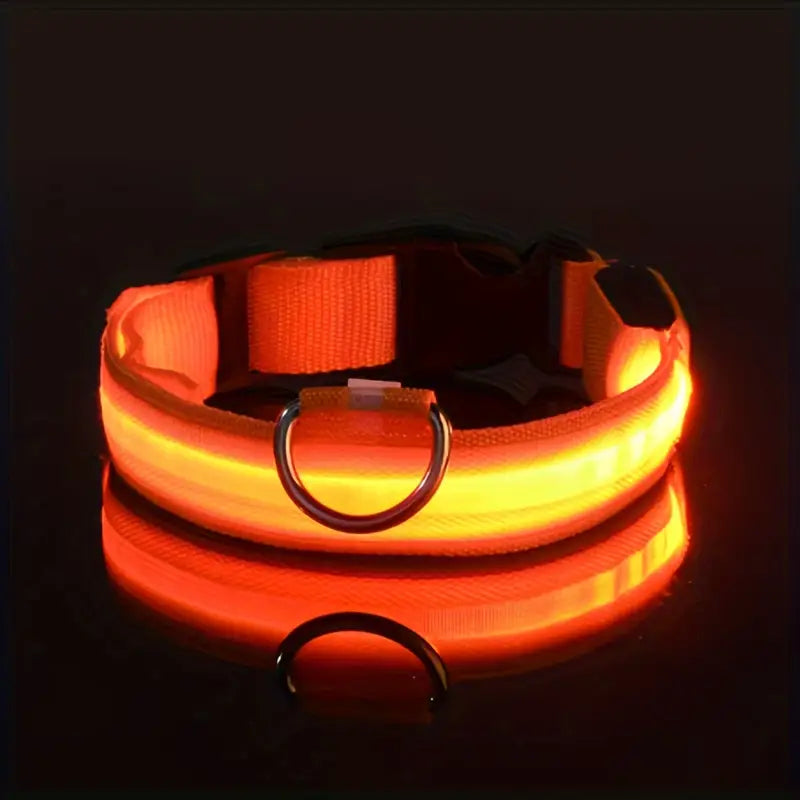 LED Dog Collar