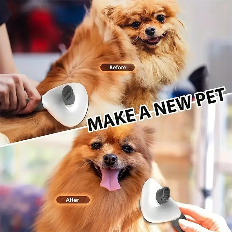 Pet Hair Removal Brush