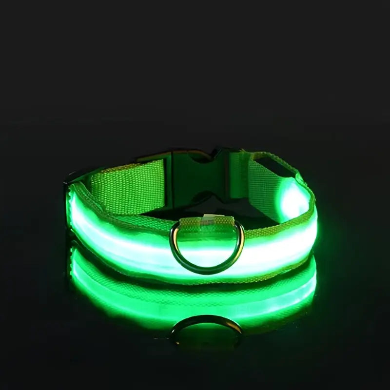 LED Dog Collar